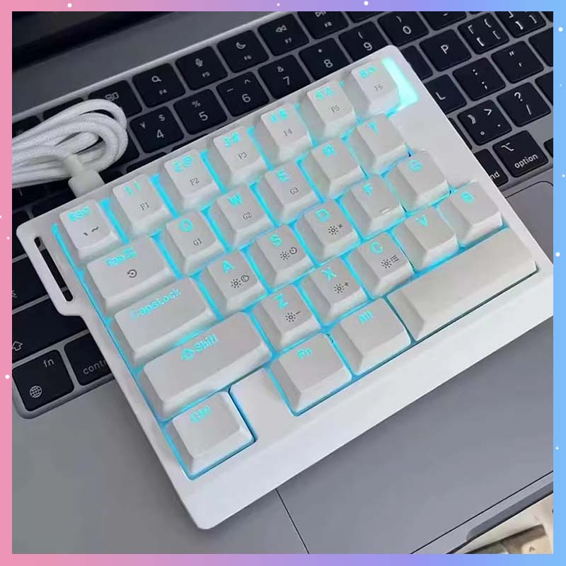 Gaming Keyboard Magnetic Switches - HE30 기계식 게이밍 키보드 29키 마그네틱