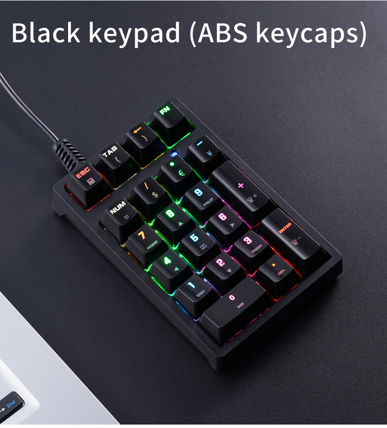T21 미니 숫자 키패드 RGB 백라이트 블루 스위치  - Keyboard Gaming Blue Switch 리뷰 및 가격